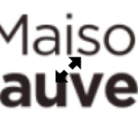 Examen d'un épervier en infirmerie - Le Responsable Capacitaire et une soigneuse